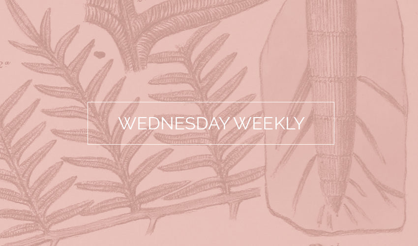 Wednesday Weekly #22