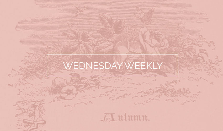 Wednesday Weekly #6