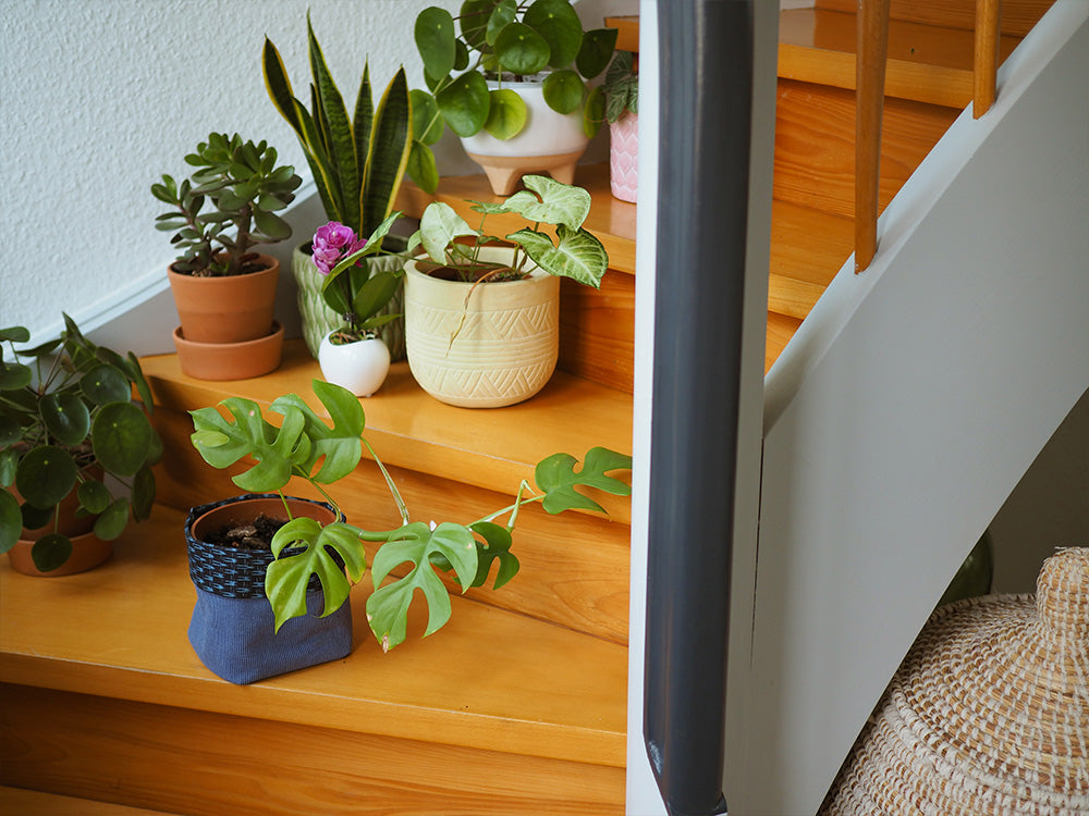 Brighten up Your Houseplants with DIY Fabric Planters